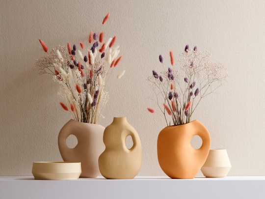 Schneid Studio Photo 1