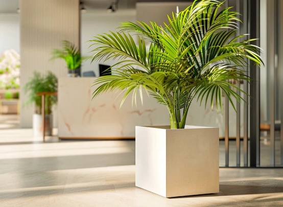 ARTEPOT Photo 5