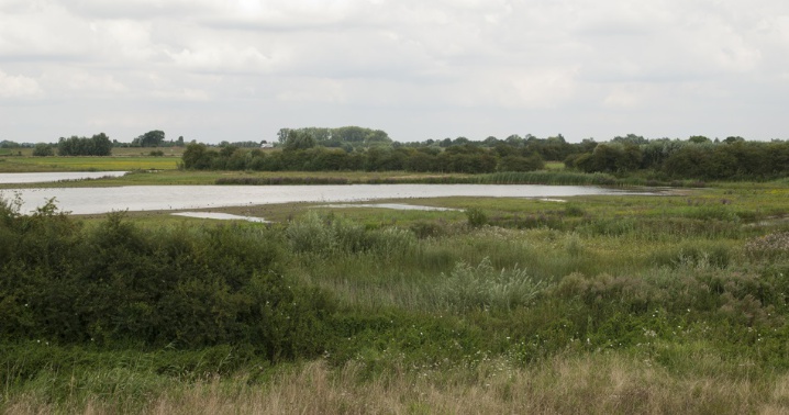 Plexwood Photo 1