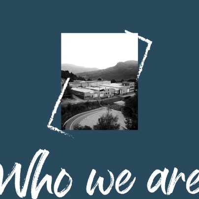 foj_Company_Tab_whoAreWe_title