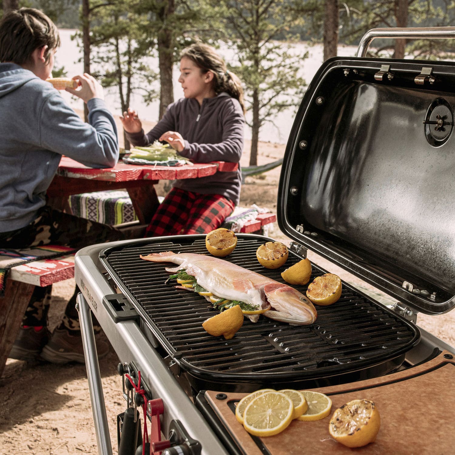 ガスバーベキューコンロ - WEBER TRAVELER - Weber USA - 移動式