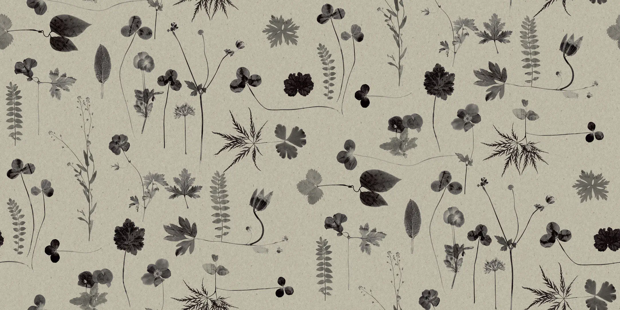 コンテンポラリー壁紙 Botanica Eco 花柄