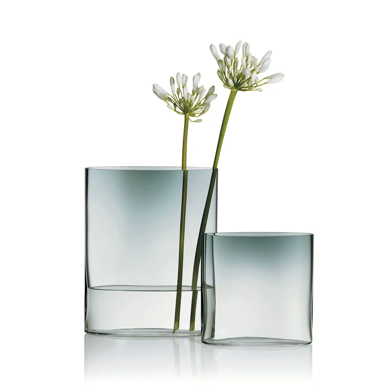 現代風花瓶 - OVALIS - iittala - ガラス製