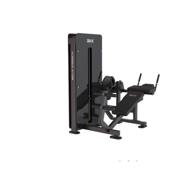  GYM DX 多機能トレーニングマシン HOME GYM DX 多機能トレーニングマシン