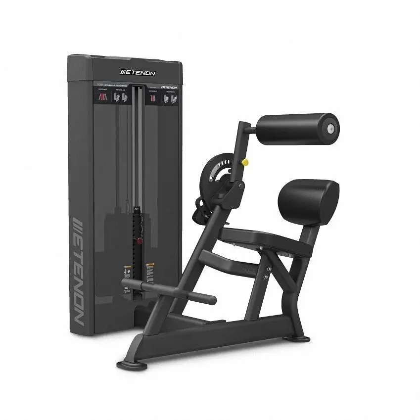 カール筋力トレーニングマシン - PC2029 - ETENON FITNESS - バック 