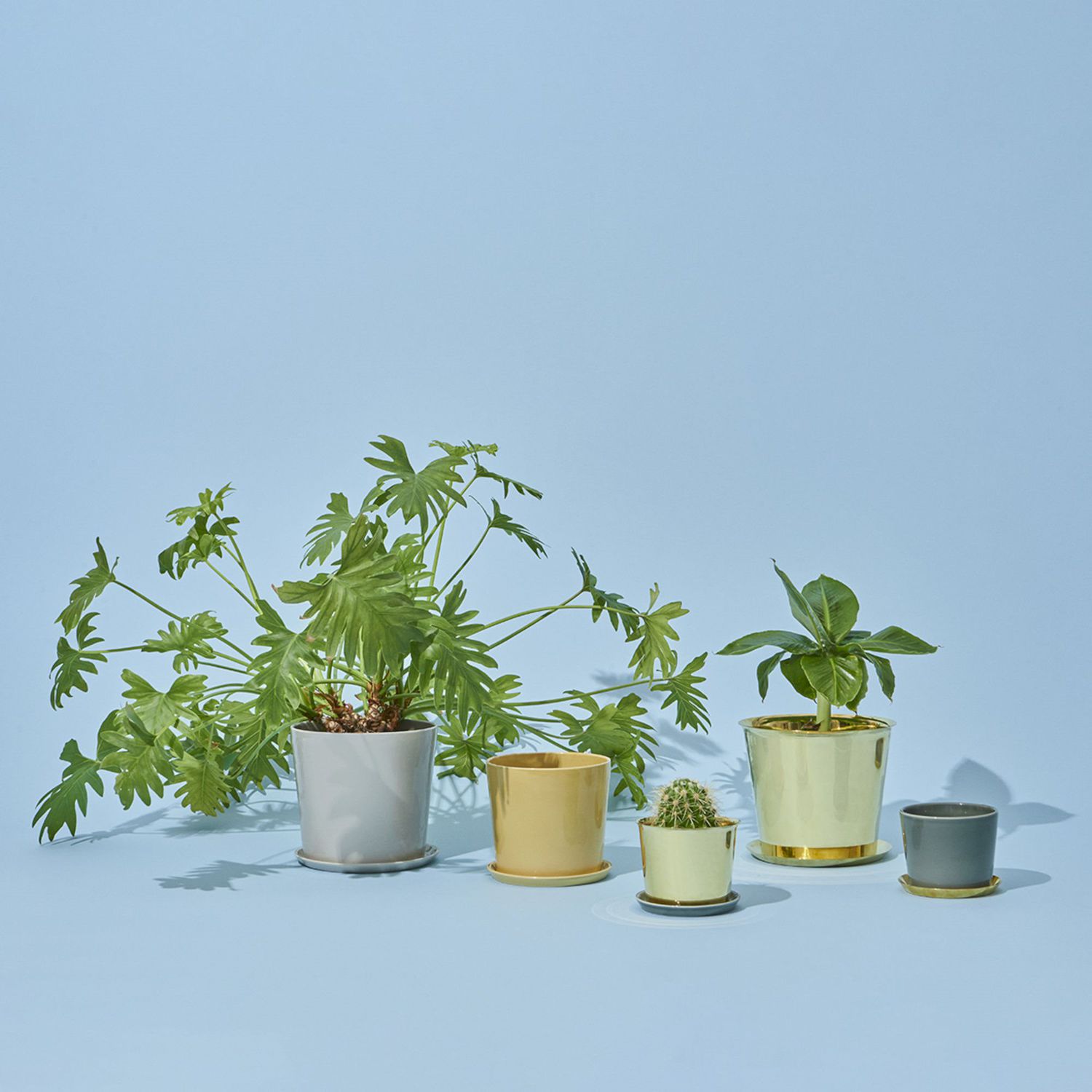 英国ハウス植木鉢 楽天市場】植木鉢 木目 鉢 お城 民家 ハウス 多肉植物 寄せ植え