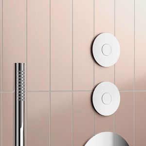 ダブルトイレの水洗ボタン
