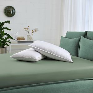 コットン枕