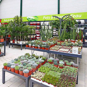 壁掛け式展示用ラック / 植物用 / 金属製 / テーブル