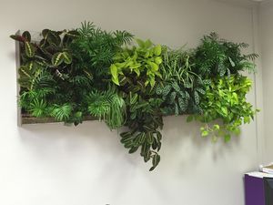 生きている植物緑化壁