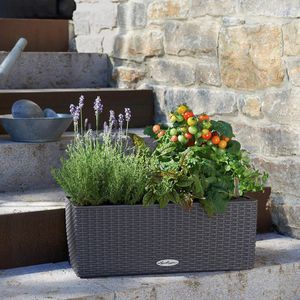 プラスチック製プランター