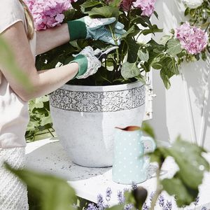 プラスチック製植木鉢
