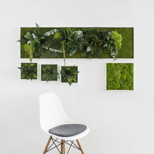 コケ植物フレーム