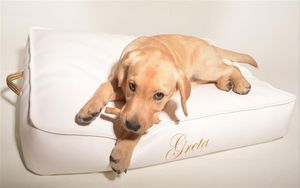 ペット用(犬と猫)クッション
