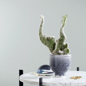 セラミック製植木鉢