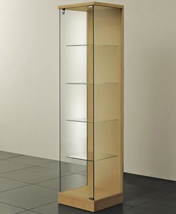 現代風展示ケース 1