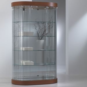 現代風展示ケース 1