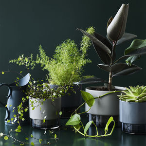 セラミック製植木鉢