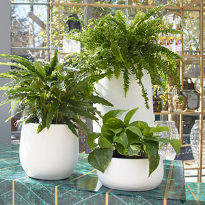 セラミック製植木鉢