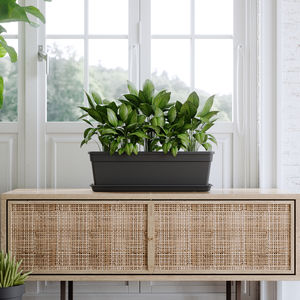 プラスチック製植木鉢