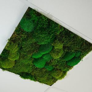 緑化仮天井 1