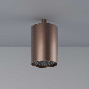 天井取付け式シャワーヘッド 1