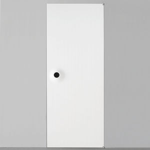 フラッシュドア