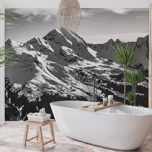写真壁紙 1