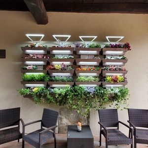 生きている植物バーティカルガーデン