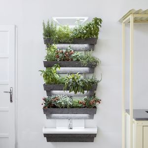 生きている植物バーティカルガーデン