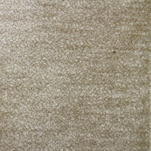 張り地