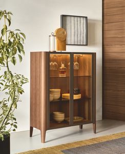 現代風展示ケース
