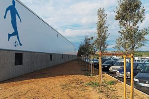木製骨組み張力構造