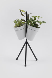 金属製植物用サポート 1
