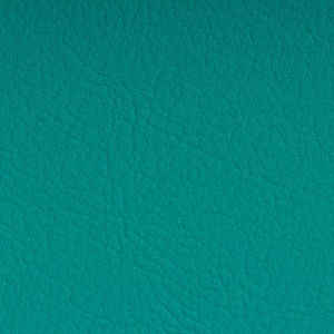 張り地 1