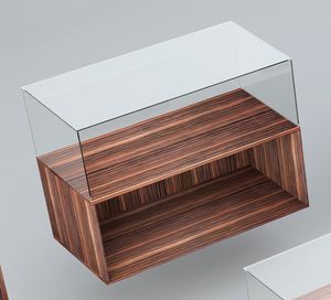 現代風展示ケース