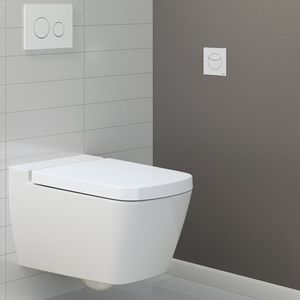 シングルトイレの水洗ボタン