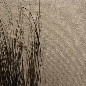 屋内用壁面装飾材