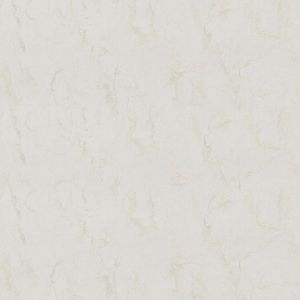 個体表面カウンタ－トップ 1