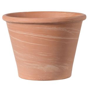 テラコッタ植木鉢