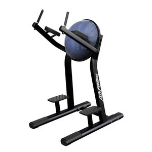 レッグレイズ筋力トレーニングマシン 1