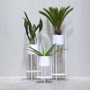 円形植木鉢 1