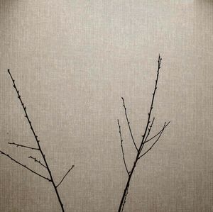 現代風壁紙