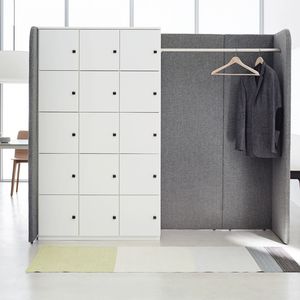 金属製ロッカールーム / オフィス用 / セキュリティ