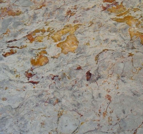 大理石タイル - NAPOLINA - dimpomar - Natural Stone from Portugal and Around - 光沢 / ブラッシング仕上げ / びしゃん仕上げ