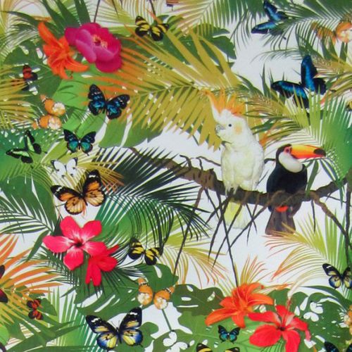 張り地 - TIKI FR - Equipo DRT - 自然模様 / 動物柄 / 花柄
