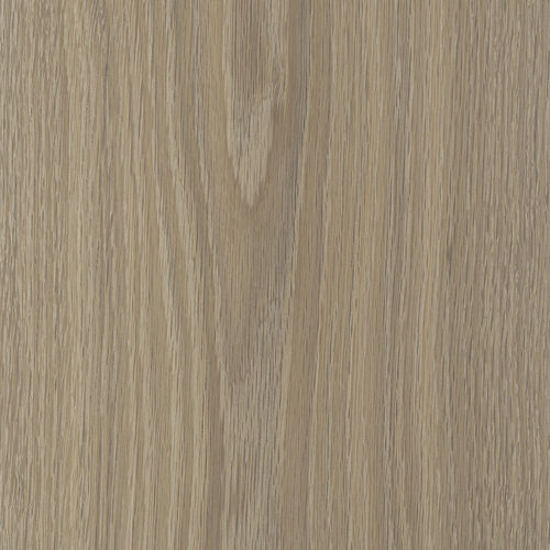 複合フローリング - AMERICAN FADED SILVERGREY ULTRAMATT POLY - EBONY AND CO - ソリッド / ホワイトオーク材 / ラッカー仕上げ
