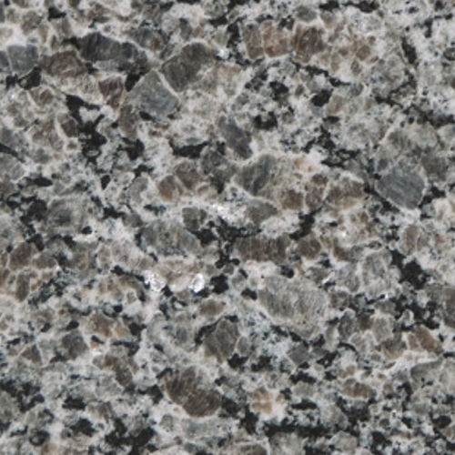 花崗岩製板石 - NEW CALEDONIA - Decolores Marmores e Granitos do Brasil Ltda. - 床用 / 屋内用 / 壁取り付け式