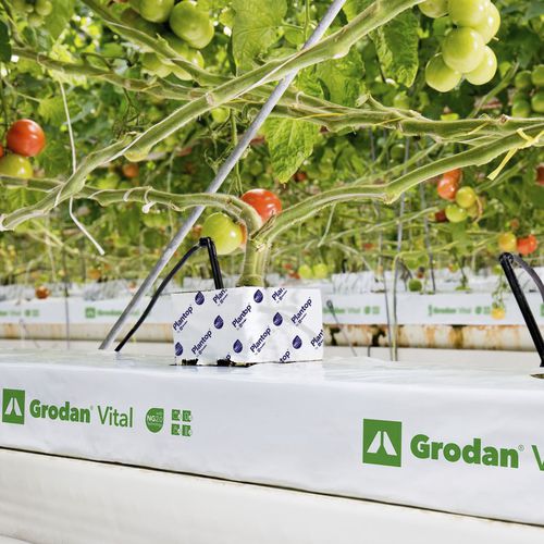 植栽用バッグ - VITAL - GRODAN