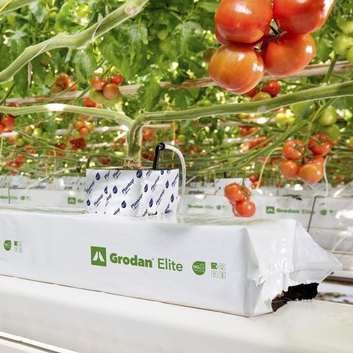 植栽用バッグ - ELITE - GRODAN